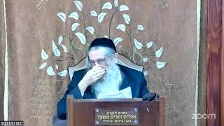 הרה"ג הרב וועכטר שליט"א י"ט אדר תשפ"ה - מאמר הרבי הריי"צ תר"פ ד"ה ראשית גויים עמלק חלק ט' (הרב אברהם מנחם מענדל וכטר) - התמונה מוצגת ישירות מתוך אתר האינטרנט יוטיוב. זכויות היוצרים בתמונה שייכות ליוצרה. קישור קרדיט למקור התוכן נמצא בתוך דף הסרטון