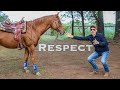 How To Get A Horse To RESPECT You 3 Exercises