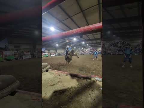 Enjoy this 8 second ride from 16 year old Cody Heller at Buckhorn Ranch Arena #fyp #bullriding