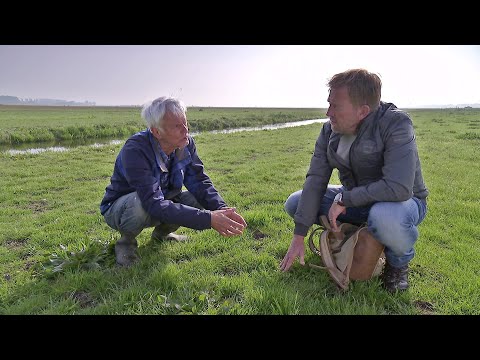 BuitenGewoon 8 juni 2019 - Weidevogels