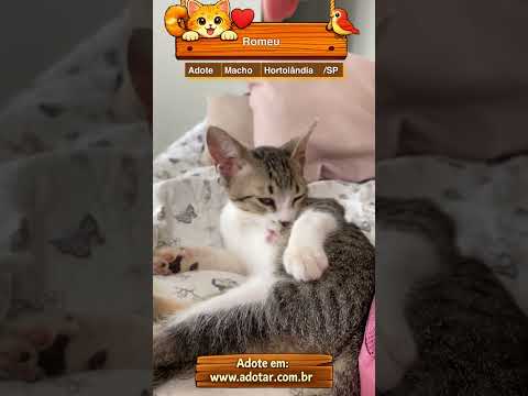 Vídeo de Romeu