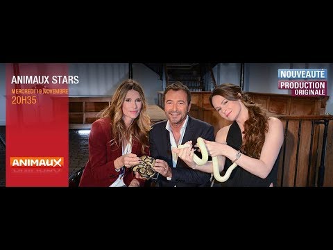 ANIMAUX STARS, Sophie Thalmann découvre le serpent avec Lia Vinova