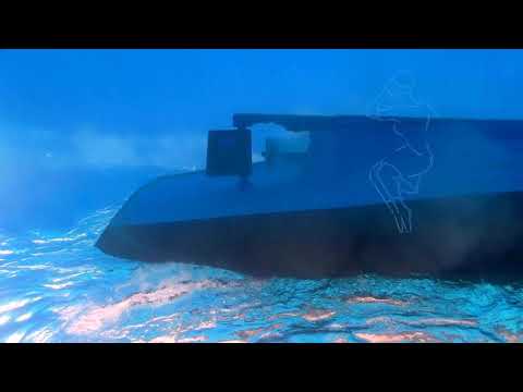 Blackrain Producer - Dark light rose ( for the migrants)