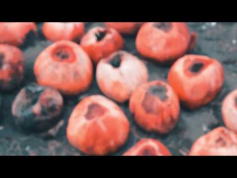 Congot Beach / Pantai Congot - Sam Kolder Inspired Color Grading - 600D