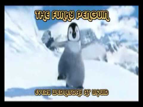 The Funky Penguin!