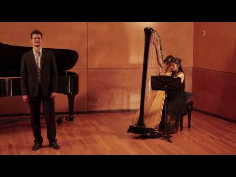 Oliver Pürckhauer and Claraliz Mora/ La Bruja #mexicanmusic #folksong #harpandvoice #harfeundgesang