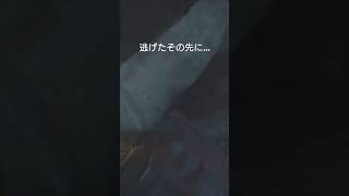 バイオハザードre2編　姫神桜死亡集その2　#バイオハザード　#バイオハザードre2 #BIOHAZARD　#ホラゲ　#ホラーゲーム　#ゲーム実況