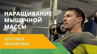 «Круговая тренировка». Наращивание мышечной массы. Energy Life NL