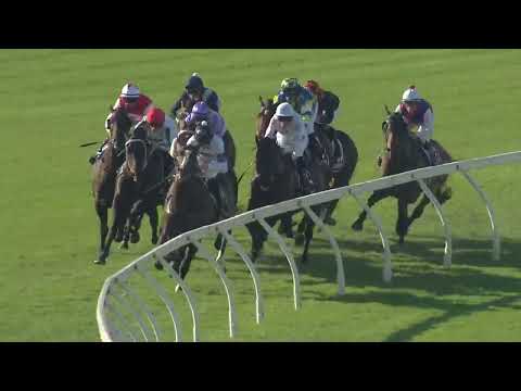 Winterbottom Stakes 2025 - LIBERTAD (3YO+ WFA G1) Group 1 Ascot 29 November 