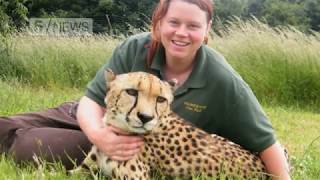Zookeeper Rosa King killed by tiger at Hamerton Zoo Park