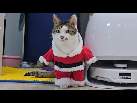 메리크리스마스