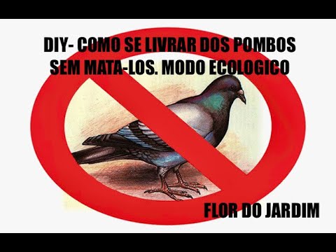 , title : 'DIY - Como se livrar  dos POMBONS ECOLOGICAMENTE - How to get rid of pigeons the ECOLOGICAL way'