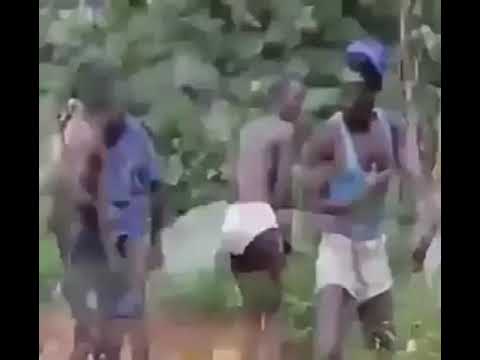 Зын Зын Зын вирус