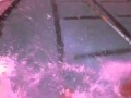 Adult Swim Original Intro