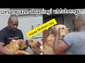 Trending Video Happy Mother S Day UMshengu Esho ENjeni Zakhe Zizwele