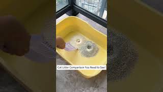 The Best Cat Litter? No Stick, Strong Clumps – Test & Review!