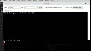 IWA demo: isolated web app with direct socket: udp bind