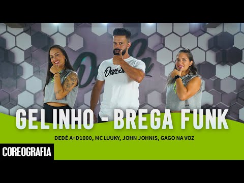 GELINHO - BREGA FUNK - Dedé A+D1000, Mc Luuky, John Johnis, Gago Na Voz - Dan-Sa (Coreografia)