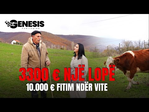 3300 € një lopë – 10.000 € fitim ndër vite | HISTORI SUKSESI