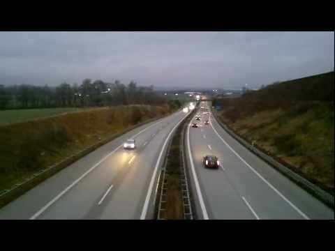 Seltenes Tier auf der A72 zwischen Zwickau und Chemnitz