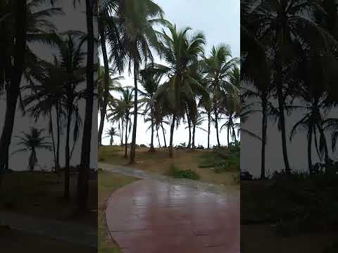 praia de Salvador Bahia