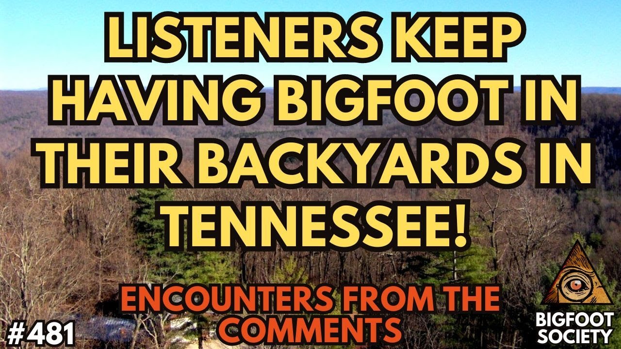 Bigfoot Encounter Tales from the Comments!