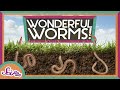 Worms Are Wonderful | Amazing Animals | Backyard Science | SciShow Kids