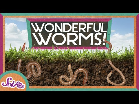 Pinworms a vermox bevétele után