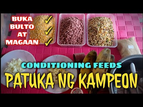 CONDITIONING FEEDS MIXTURES | The Zach2 GFB Way