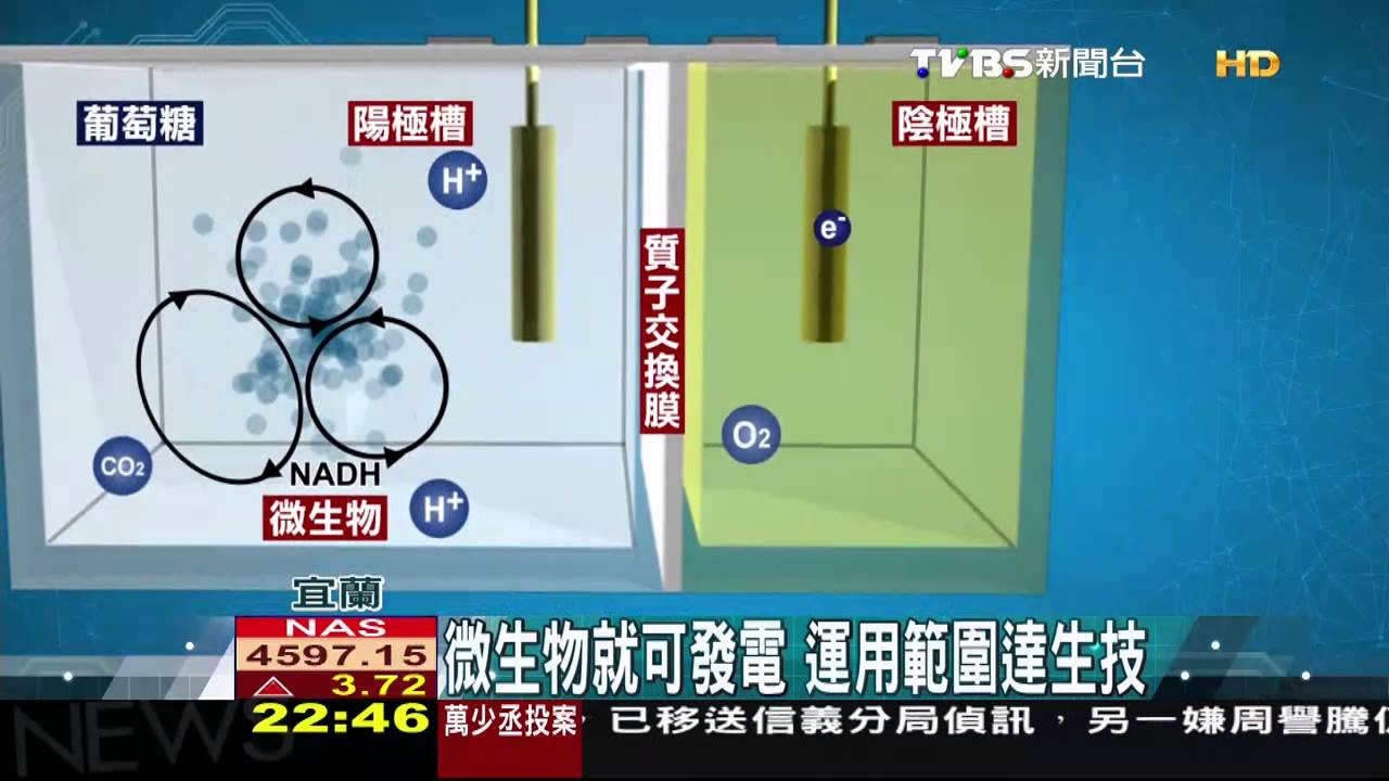 【科學不一樣】微生物就可發電　運用範圍達生技