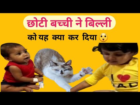 Ibbi And Mahira Playing With Kitty (Cat) | Littile Girl's  Lovely Reaction