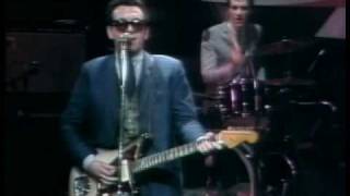 Elvis Costello - New lace sleeves