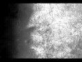 Lawrence - Winter Green 