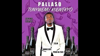 Pallaso-Tunywemu Kulwekyo------------------(AUDIO ALERT!!!)