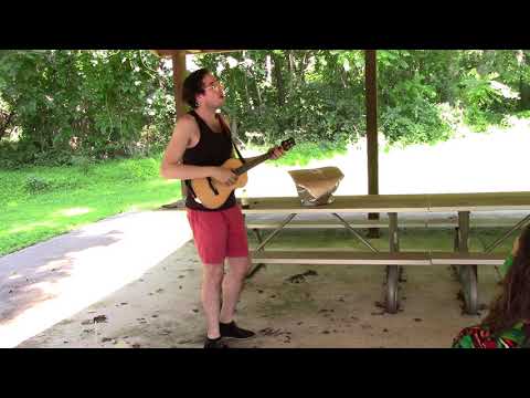 Will Wood Picnic - Aikido (7/10)