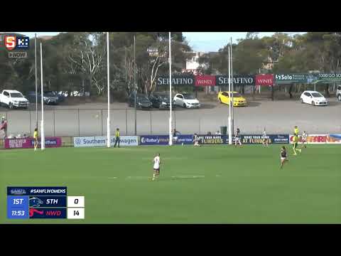 Rd 4 Hostplus SANFLW Snapshot - Norwood's Shai Hiscock launches a goal celebration