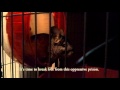 Opressed Chinchilla Advocates Freedom