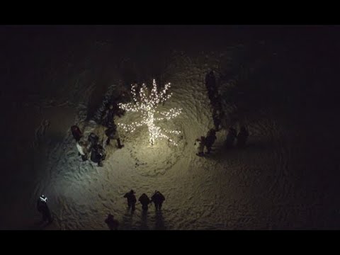 Group of people in the dark around a lit tree