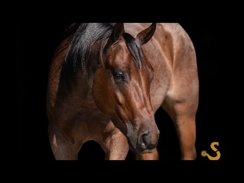 youtube preview
