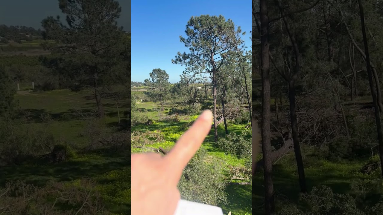 Vídeo do imóvel