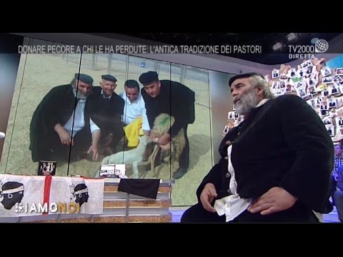 Siamo Noi - Donare pecore a chi le ha perdute: la solidarietà senza confini dei pastori sardi