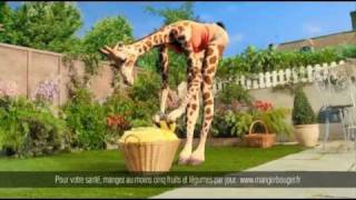 Orangina bear and giraffe with English translation in description