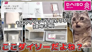【ダイソー】大型店のダイソーがもうホームセンターでした #猫ミーム #猫マニ