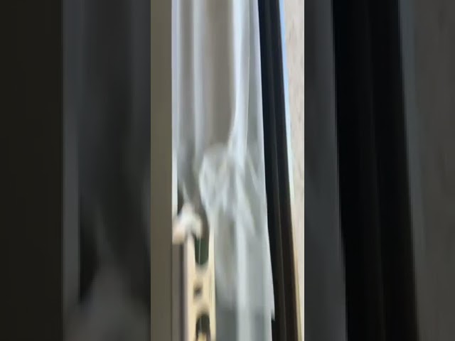 Ремонт алюминиевых окон в Москве - Чиним-Окна.Москва