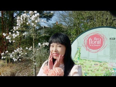 « Été » ? Magnolia Hanami de Printemps [Nantes FRANCE] [Parc floral de la Beaujoire] 20/3/16 Video