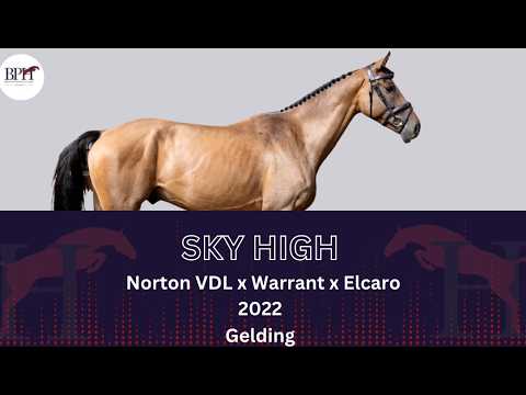 Sky High