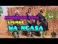 JIMINOGENI DOTO UJUMBE WA NGASA 0734514041 MSAMBAZAJI BHUDOYA STUDIO Official Audio 2025
