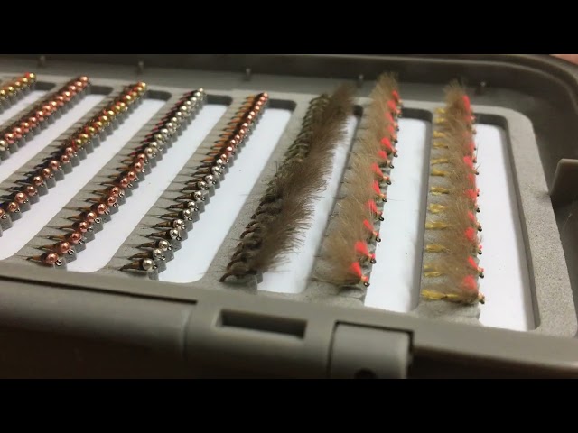 Vídeo relacionado con BASSDASH Kit de Moscas de Pesca con Mosca, Surtido de Moscas, Pesca de lubina con Caja de Moscas, 36/64/72/76/80/96 Piezas con Moscas secas/húmedas, ninfas, serpentinas, Popper