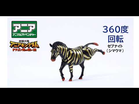 【公式】アニア360度回転動画　「冒険大陸　アニアキングダム　ゼブナイト（シマウマ）」