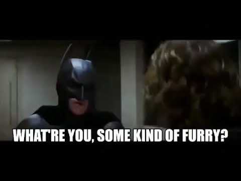 what are you, some kind of furry?